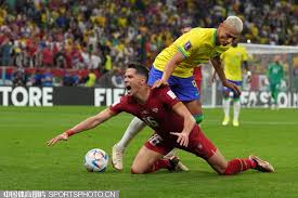 雷米留下本 雷米留下本