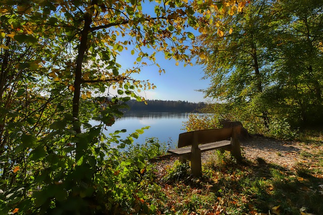 一场经典案 一场经典案